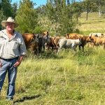 New Aussie Meat Trade Hub launched