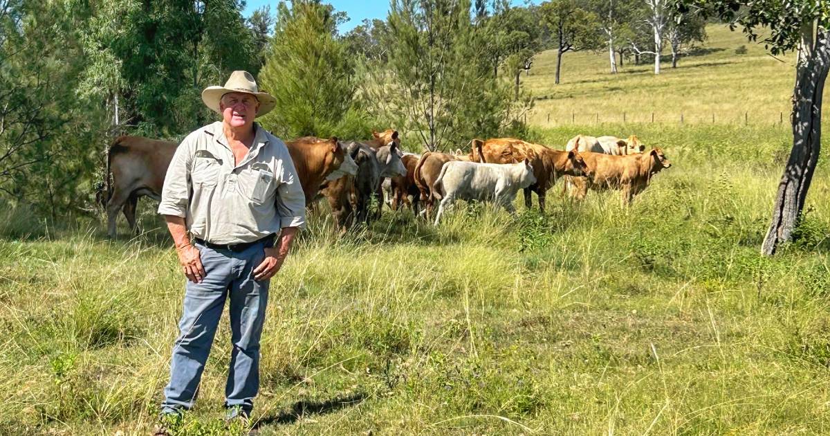 Gates will be locked in 'bitter fight' against power lines