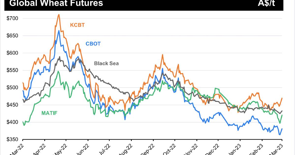 Speculators betting CBoT wheat falls