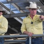 Beef Australia to launch new national carcase competition class in 2024