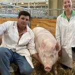 Feedlot ambassador finalists are named