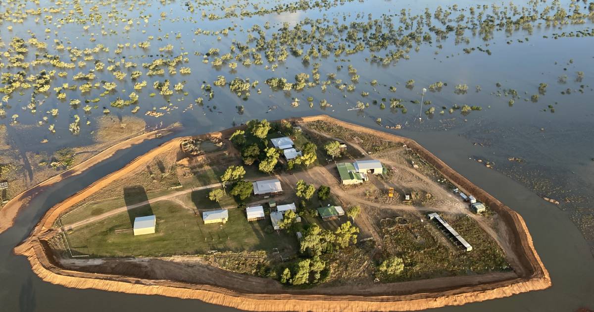 Roxborough Downs escapes inundation from Georgina River flood | The North West Star