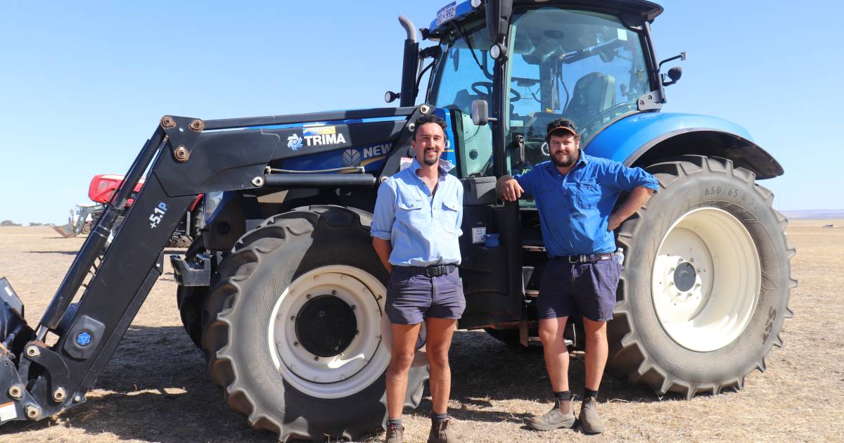 New Holland tractor sells for $125,000 | Farm Weekly