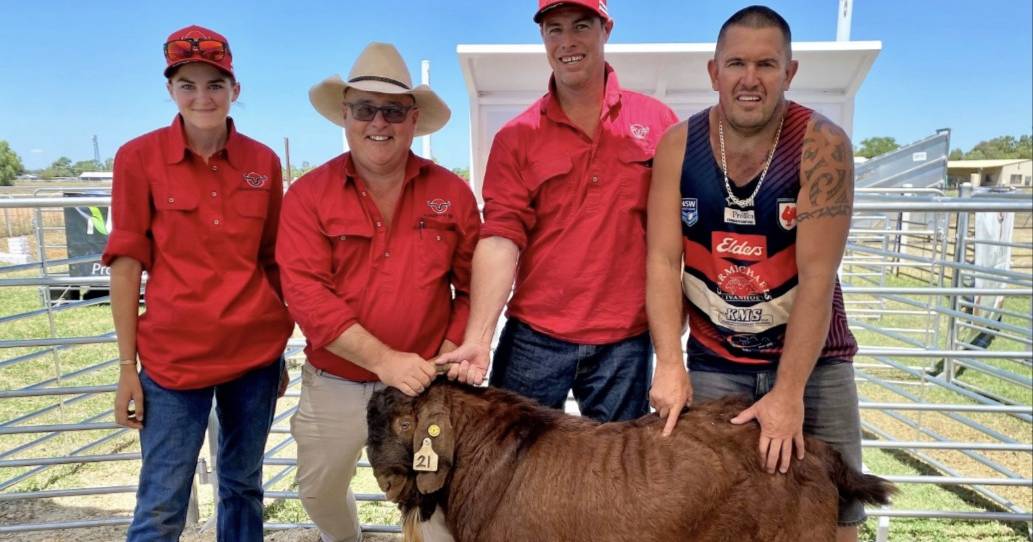 Cobar goat sale to $5200, twice, does to $4k