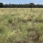 Two hospitalised after Outback Wrangler airboat crash in croc-infested water