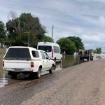 Feeder steers strong at Nebo