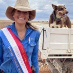 Roxborough Downs escapes inundation from Georgina River flood | Queensland Country Life