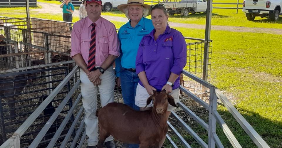 Yarrabee Boer goats top at $1850