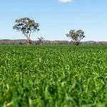 Fertiliser myths exposed according to research | The Land