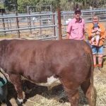 Wandoan cattle country sells for $9.8m