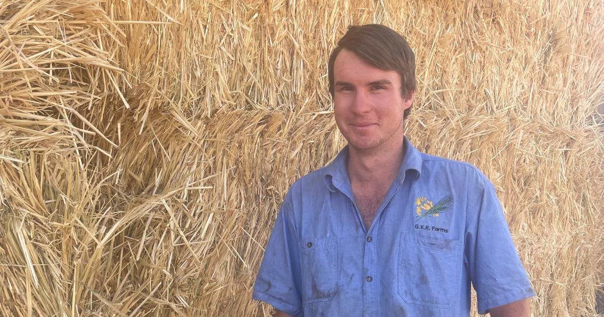 Oat varieties provide flexibility