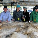 Toogoolawah Campdraft open won by Jamie Gray | Queensland Country Life