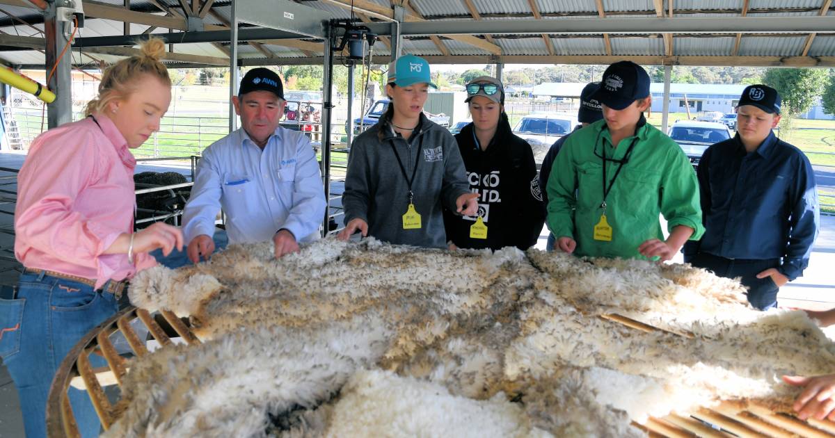 RYAG sheep 2023 hits the mark