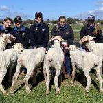 Darling Downs-Moreton Rabbit Board history comes to life in new book | Queensland Country Life