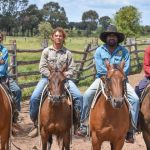 Mungbean trial finds the legume not likely to make nitrogen contribution | Queensland Country Life