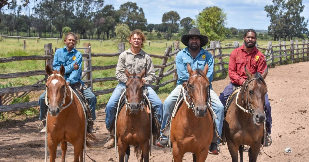 Diversification key to success for central Queensland’s indigenous-owned Woorabinda Pastoral Company | North Queensland Register