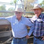 'Check your shed': 1977 Torana uncovered on rural Queensland farm