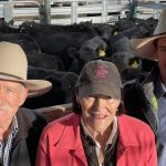 Tenterfield weaners sell to three states