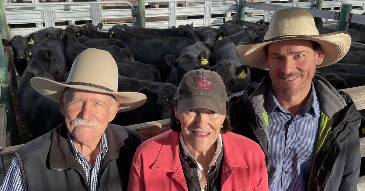 Top crop of weaner calves at Glen Innes pulls the bids with prices firm to slightly dearer | The Land