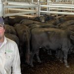 Arkansas cattle prices surge as supply falls