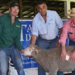 Dubbo cows with calves hit $2875