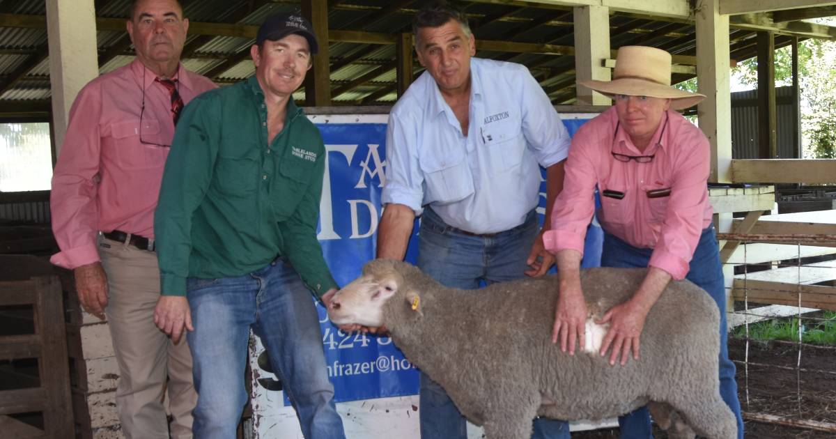 Tablelands tops at $4400