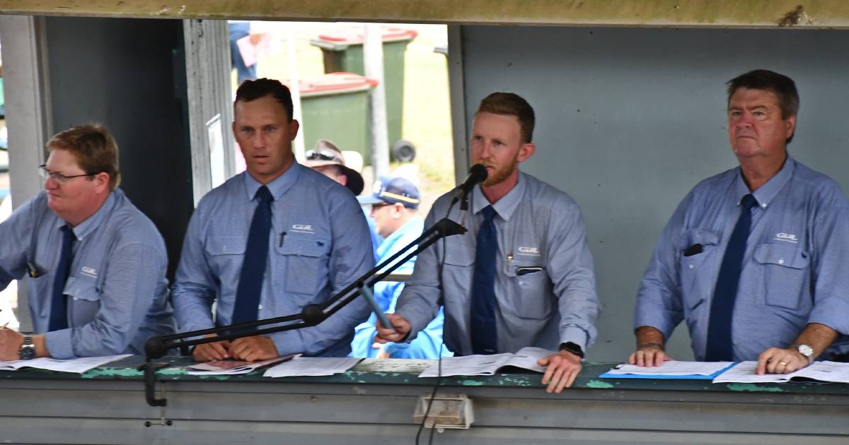 Size of national female sale's offering set to stay