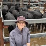 Composite bulls sell to a high of $20,000 at Hicks Beef, Holbrook