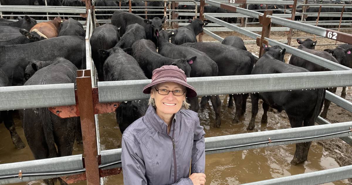 Tenterfield weaners sell to corrected market as buyers say there’s no room in the feedlot | The Land