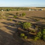 Ecological disaster as Menindee residents cart water again