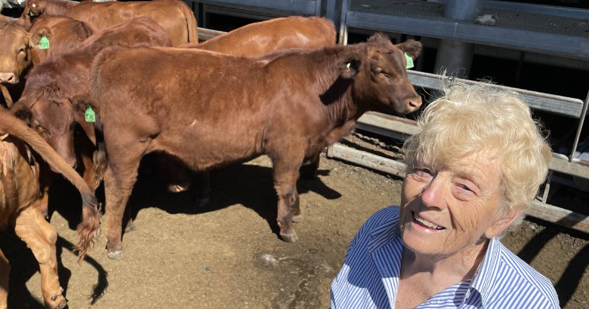 Season hits cattle market at Carcoar