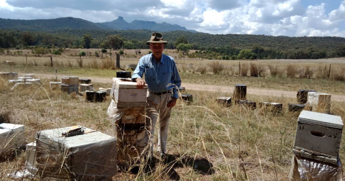 Local beekeeper 'devastated' by loss of hives due to government Varroa response