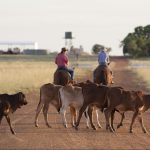 South west mayors take escalating insurance premiums to Canberra | Queensland Country Life