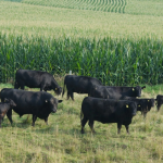 Alabama farm honored with National Environmental Stewardship Award