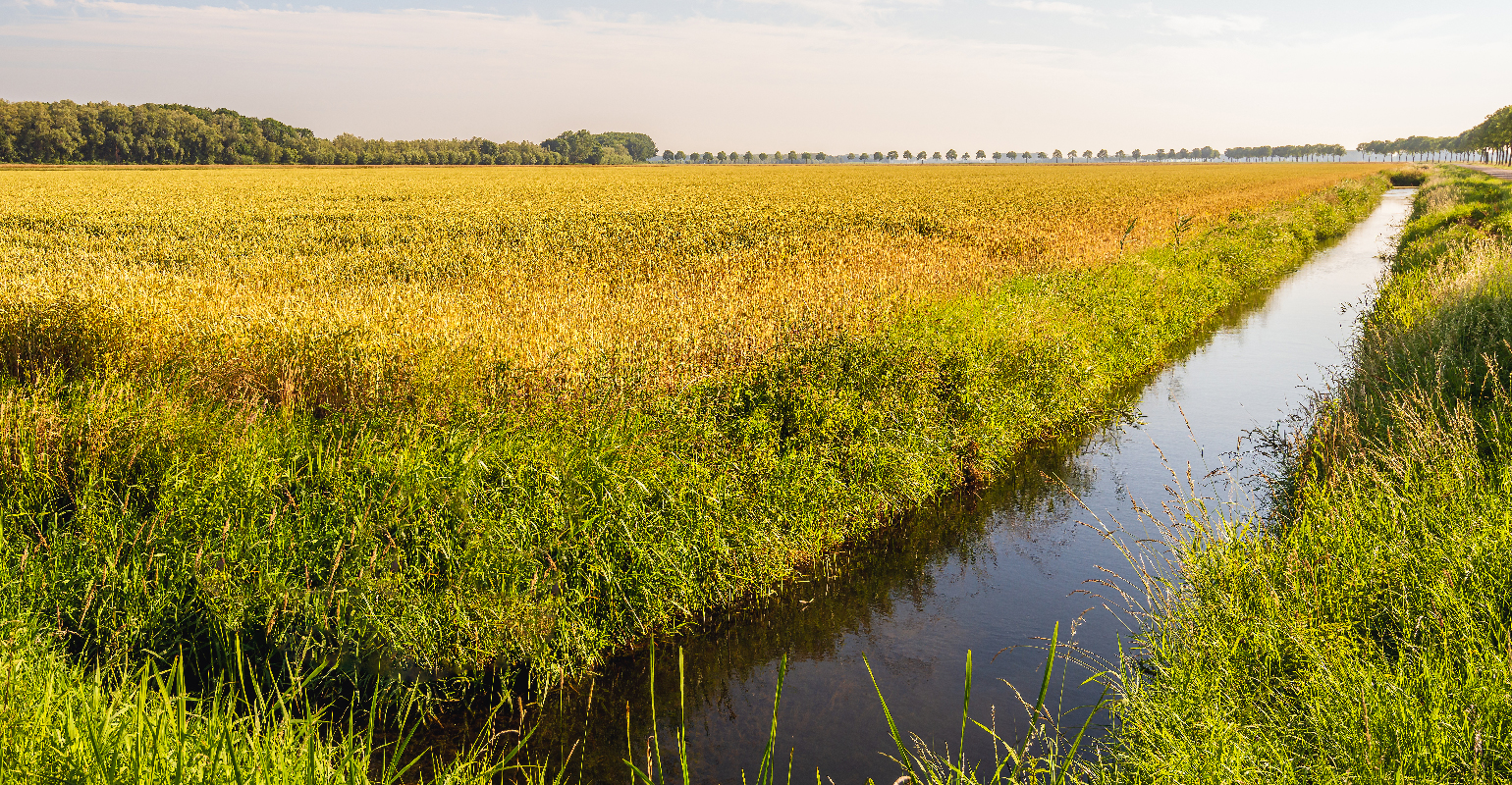 Court issues another blow to WOTUS