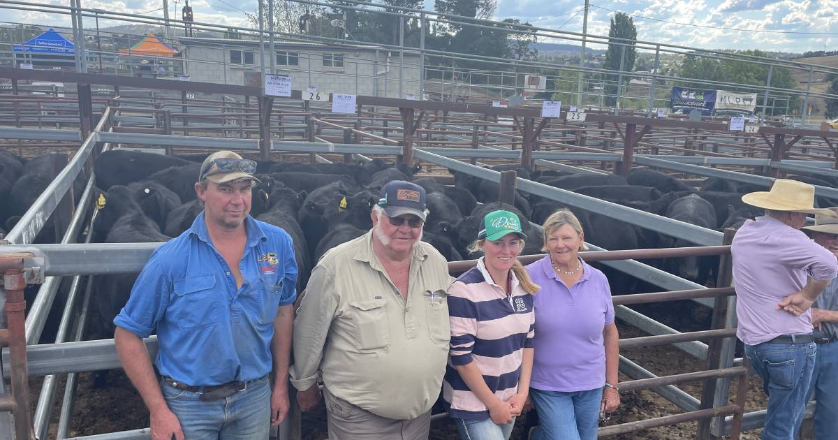 Weaner steers at Cooma sold to $1590