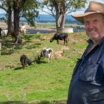 World record claim for Sydney Royal Speckle Park showing