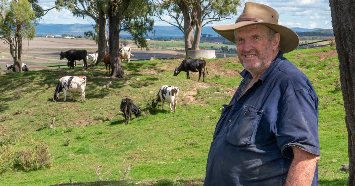 Bill's ending a lifetime of dairying, but there's still room for beef