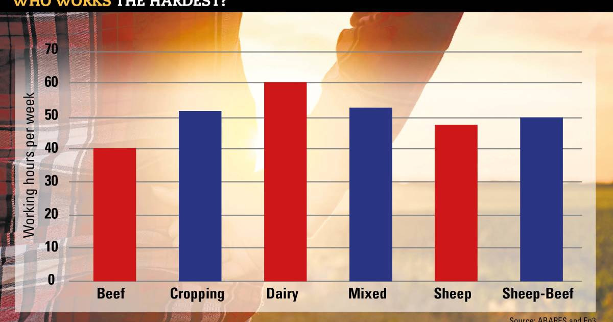 Livestock or grains: What pays the most and who works the hardest?