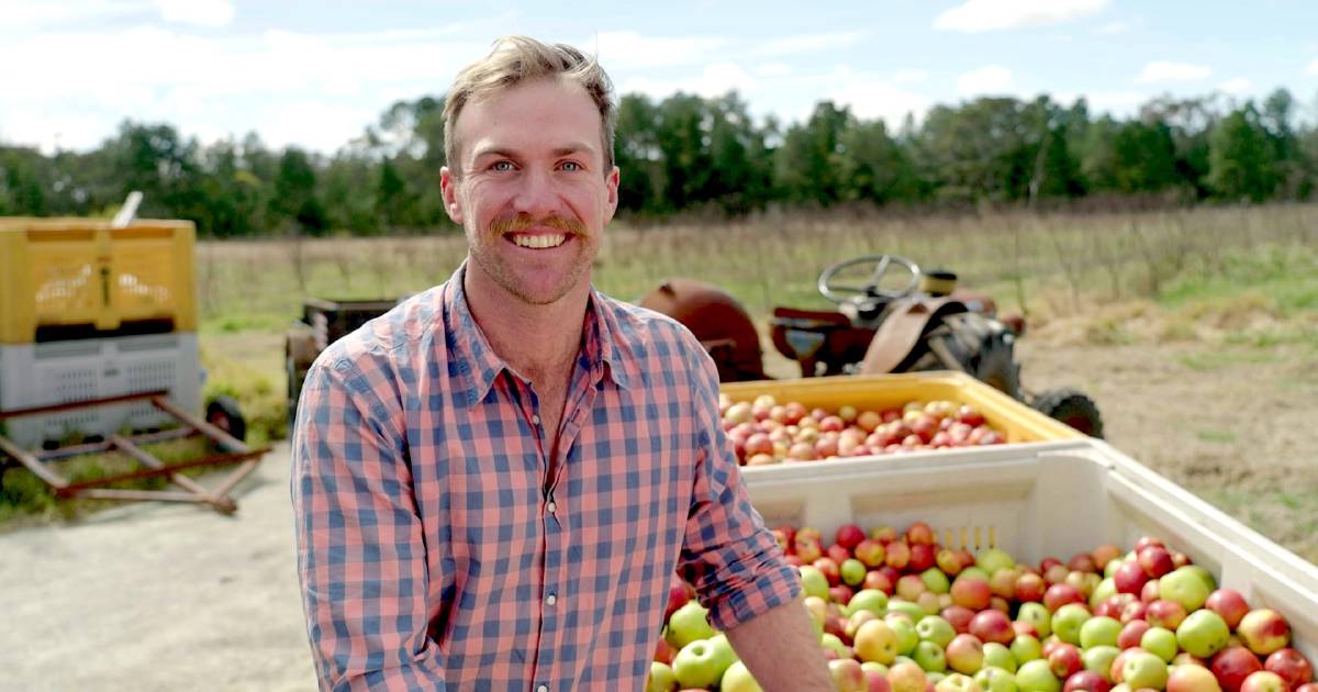 Farmer David set to find love as new season of FWAW airs tonight