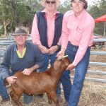 Standout calf from Kingaroy takes out Sydney Royal Show grand champion Speckle Park steer