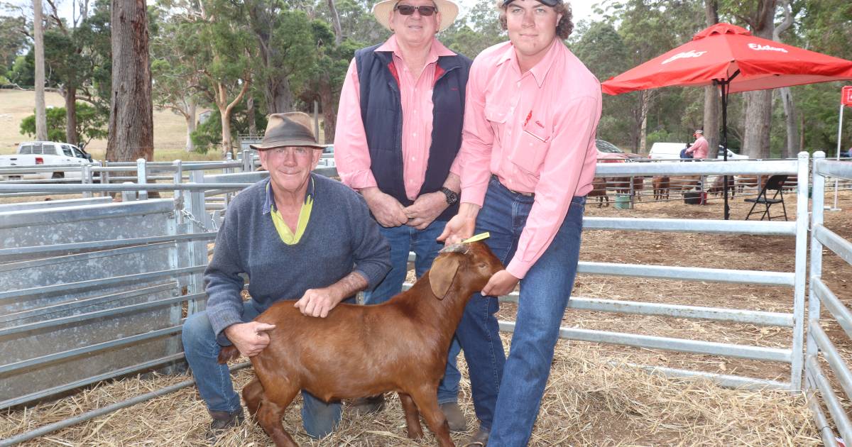 Second annual goat sale a good one