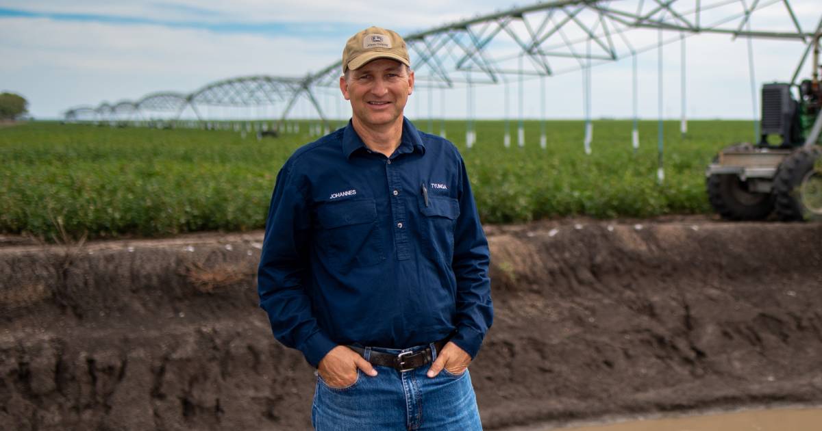 Chemical use drops to lowest level in 29 years at Brookstead cotton farm