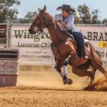 Beaudesert farming/grazing property attracts ‘scale down’ interest