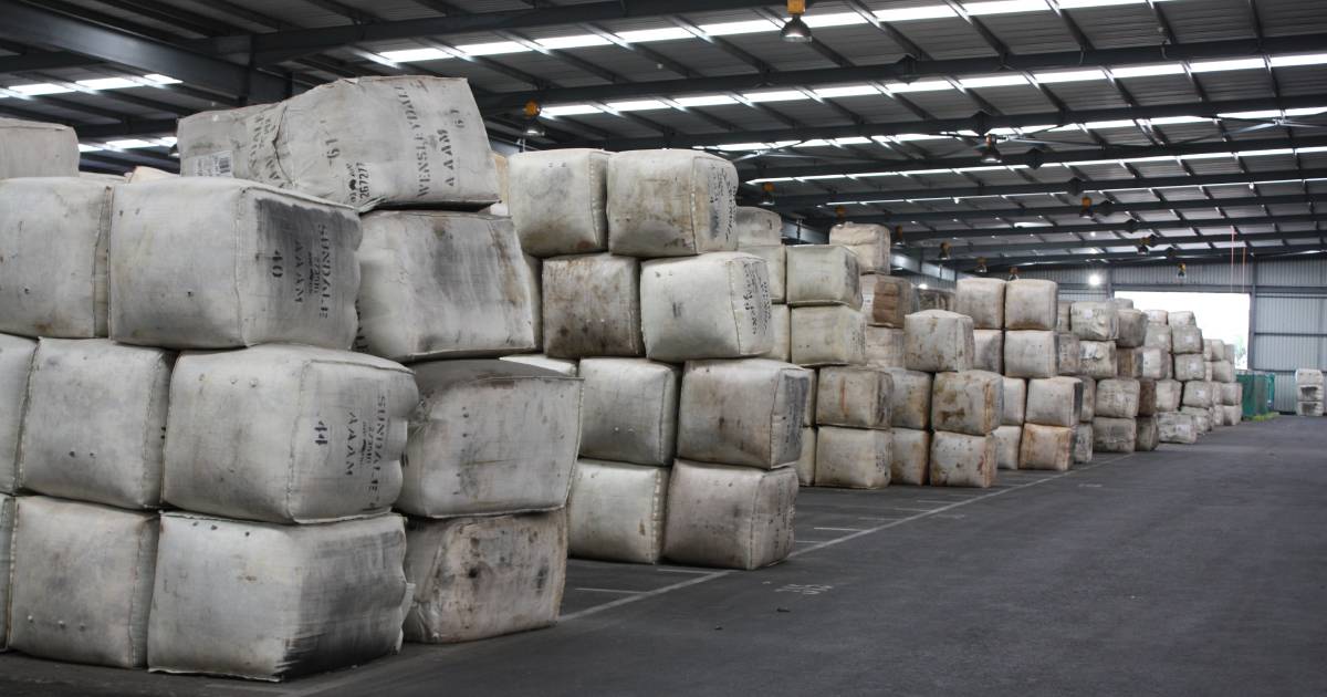 Western Wool Centre saw wool prices soften | Farm Weekly