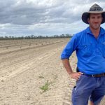 Australian landowners engage new biological control agents for problem weeds | The Land