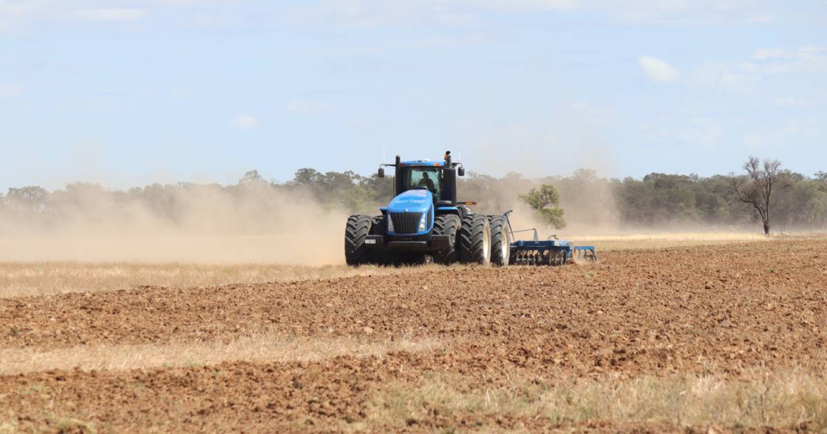 Quality cropping, livestock country heads to auction