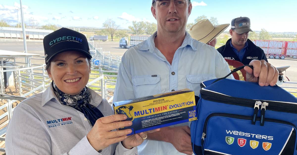 Weaner steers average $1249 at the Tamworth weaner sale | The Land