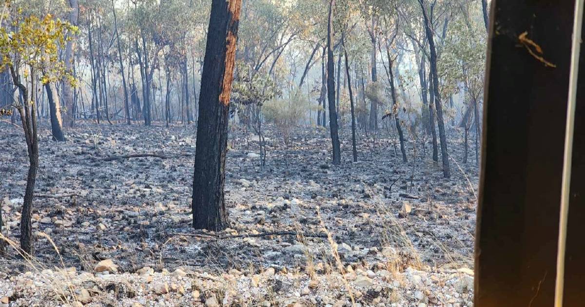 Landholders claim pasture loss to national park fire