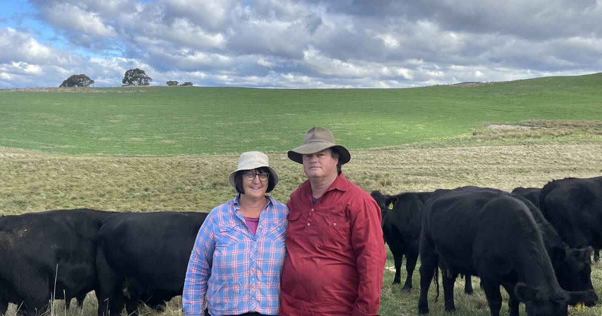 Angus preferred by 'grass producer' at Braidwood